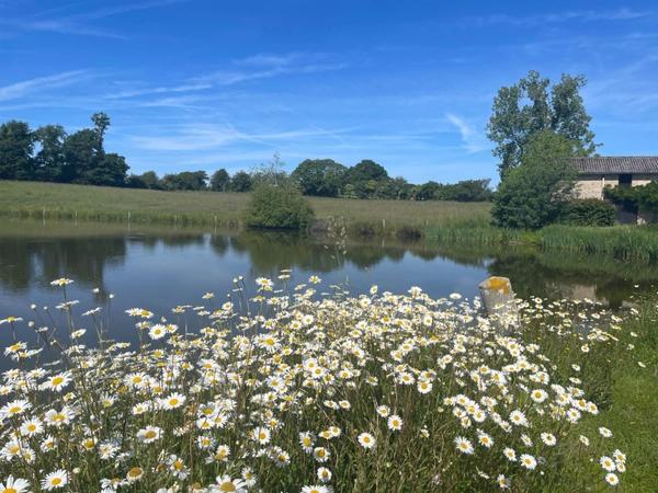 Maison, étang, dépendances, jardin  sur 8853 m2 de parcelle