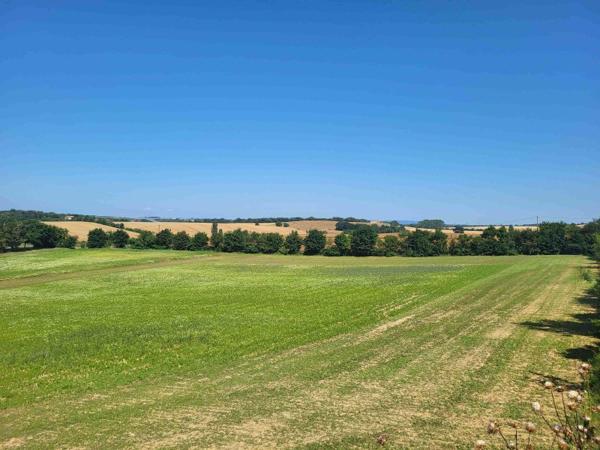 Vente / Terrain constructible