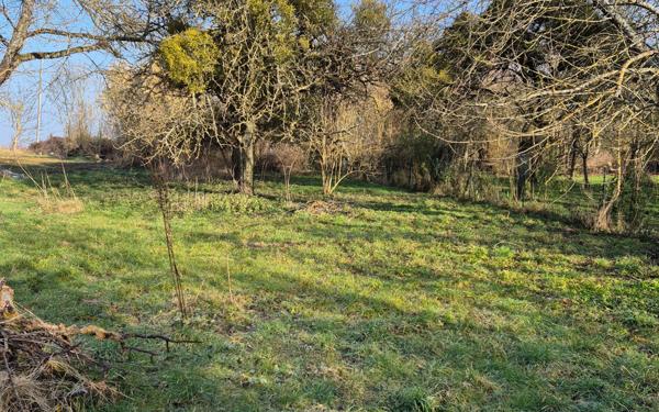 Terrain à vendre    Jouy-le-Châtel