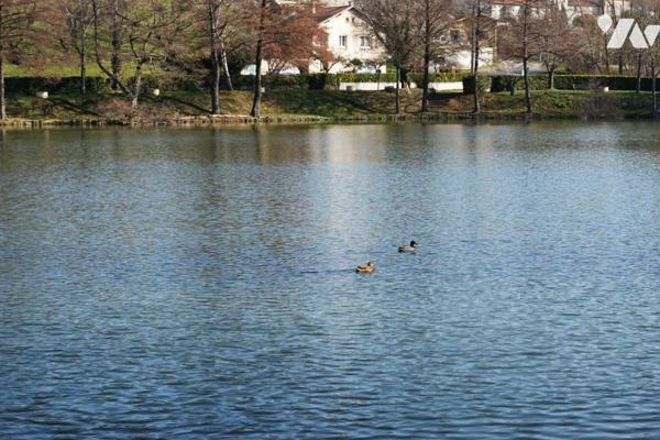 Maison d'habitation sur deux niveaux avec dépendances