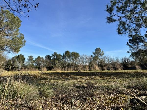 Vente / Terrain agricole