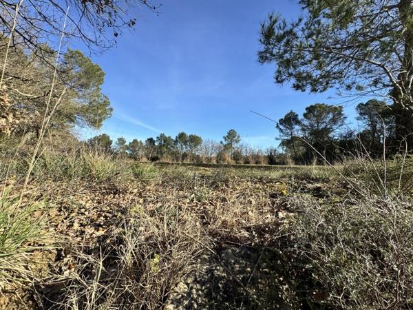 Vente / Terrain agricole