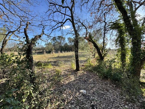 Vente / Terrain agricole