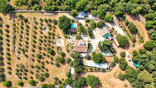 Mas en pierre, oliveraie et sérénité : une authentique parenthèse provençale aux portes de Draguignan.
