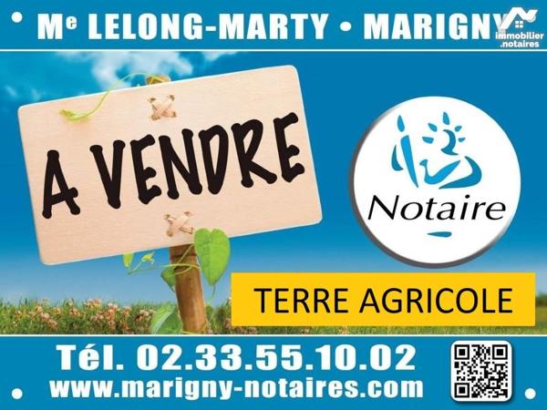 Vente d'un ensemble de terres agricoles