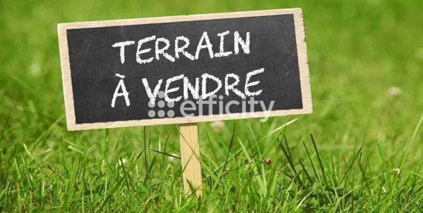 Terrain
        
        - 500 m² Exclusivité 250 000 € *