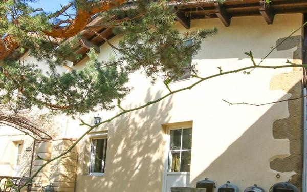 Maison à vendre    9 pièces •  Chanos-Curson