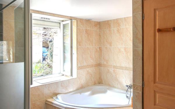 Maison à vendre    9 pièces •  Chanos-Curson