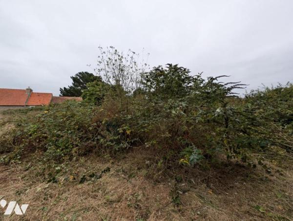 PLEUMEUR-BODOU - Maison en pierre à rénover, plage à pied – terrain de 3 286 m²