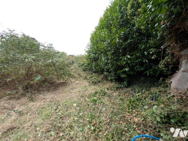 PLEUMEUR-BODOU - Maison en pierre à rénover, plage à pied – terrain de 3 286 m²