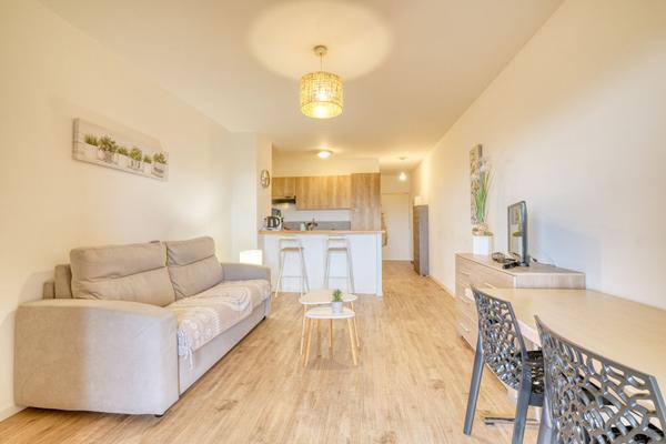 A louer - Studio - Pietranera