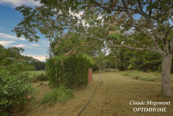 MAISON PLAIN PIED T4 ENTIÈREMENT REFAITE SUR GRAND TERRAIN ARBORÉ 1950 M2