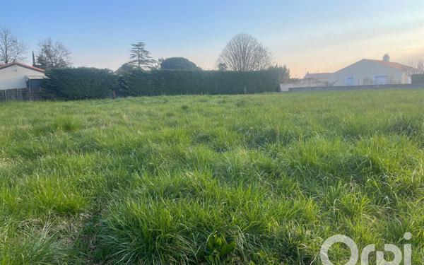 Terrain à vendre    Commequiers