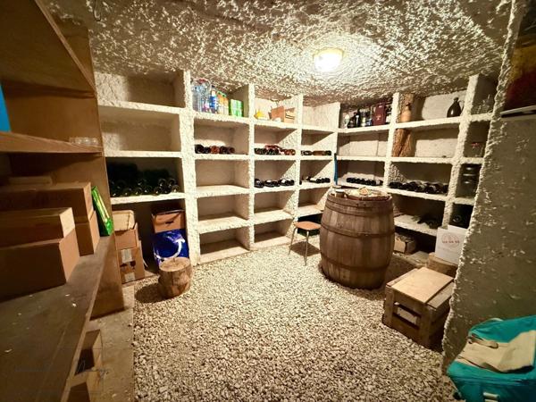 Maison d'architecte 7 pièces, 200 m2 SAINT OUEN (41)