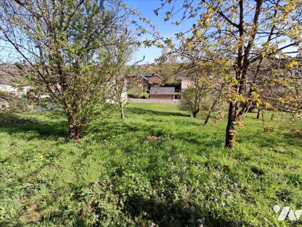 Terrain à construire