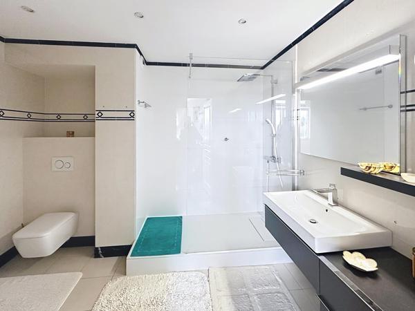 Appartement de 120 m2 (102m2 carrez) avec grande terrasse et balcon