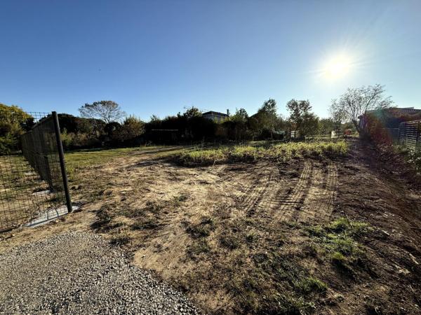 ? RARE SUR LA COMMUNE DE LA SALVETAT-SAINT-GILLES !