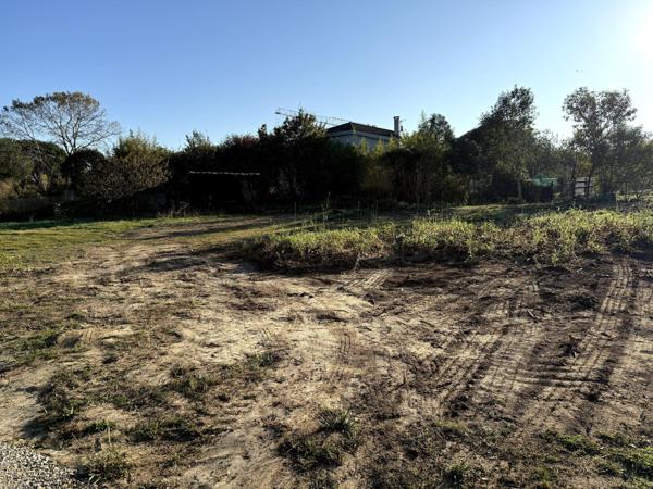 ? RARE SUR LA COMMUNE DE LA SALVETAT-SAINT-GILLES !