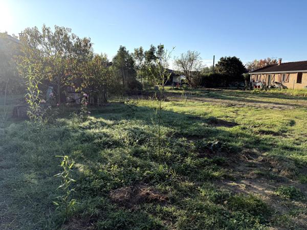 ? RARE SUR LA COMMUNE DE LA SALVETAT-SAINT-GILLES !