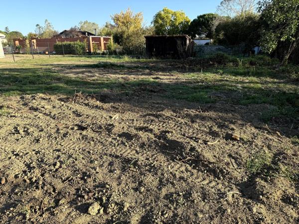 ? RARE SUR LA COMMUNE DE LA SALVETAT-SAINT-GILLES !