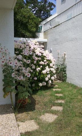 17200 ROYAN ROYAN - LE CHAY