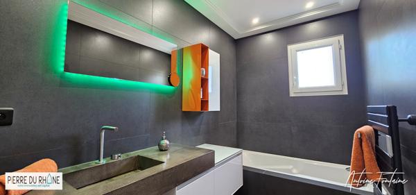 Brignais (69530) Vends Brignais (69530) très belle Villa avec piscine et jardin