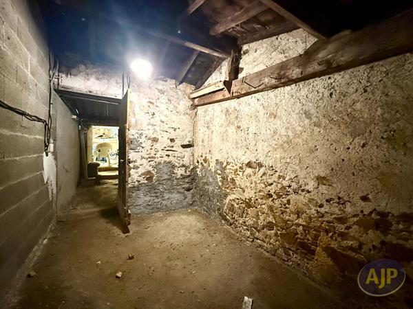 Vente maison Sainte Pazanne : 221 500 € - AJP Immobilier Sainte-Pazanne