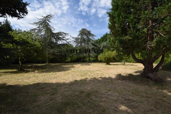 Saint-Augustin (17570) TERRAIN A BÂTIR - SAINT AUGUSTIN