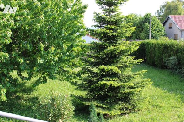 Maison de construction traditionnelle 1981