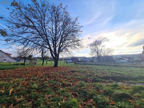 Maison à vendre à Saules dans le Doubs (25580), ref : VM2241-25014