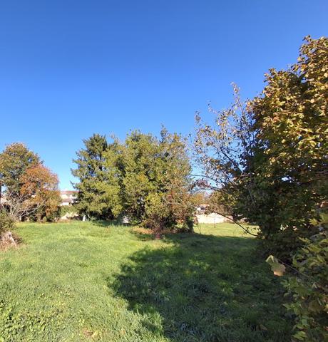 Terrain  450 m²  450 m²