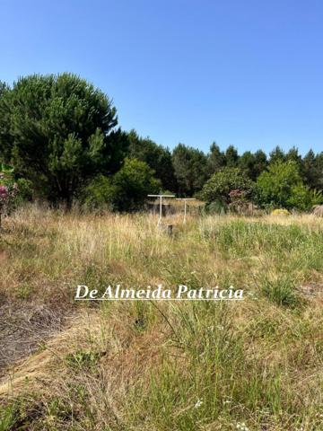 336 m2 habitables, piscine, dépendances ... et si c'était votre projet de vie ?