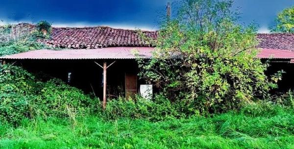 Maison et dépendances en pierre à rénover