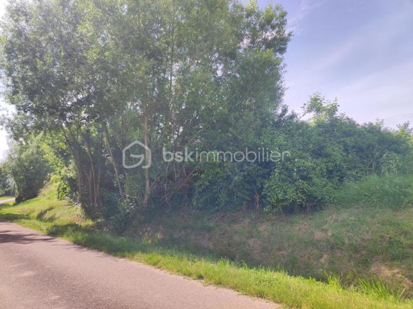 Terrain de 2 530 m²