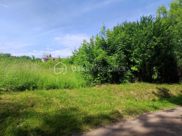 Terrain de 2 530 m²