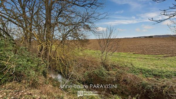 Labastide-d'Anjou -  Grande maison familiale avec jardin, piscine et potentiel  professionnel ou locatif