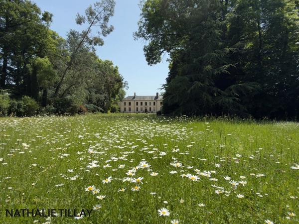 Propriete  CHATEAU à vendre PROCHE ORLEANS , exclusivite