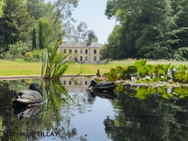 Propriete  CHATEAU à vendre PROCHE ORLEANS , exclusivite