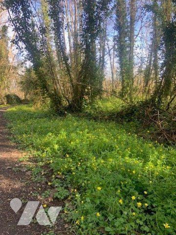 Terrain à vendre Briarres-sur-Essonne