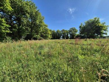 Terrain à Batir à vendre à Missiriac dans le Morbihan (56140), ref : 56049-796