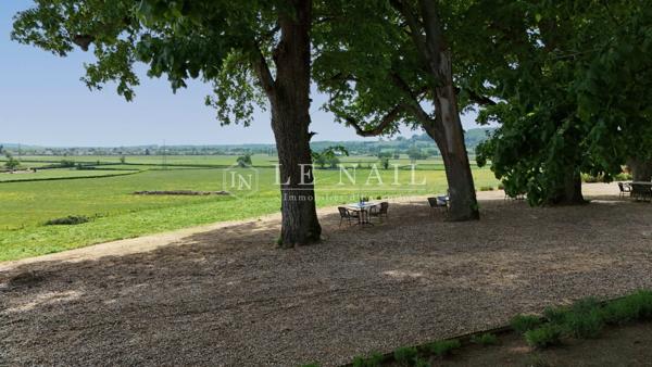 Elégante propriété de caractère avec vue dominante, gîte indépendant et piscine, en Saône-et-Loire