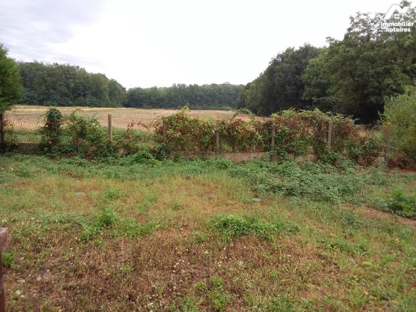 ENSEMBLE IMMOBILIER COMPOSE DE 3 MAISONS + 1 A RESTAURER
DITE MAISON DE NAISSANCE DE DENIS PAPIN