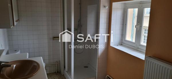 Appartement 3 pièces + mezzanine au centre ville