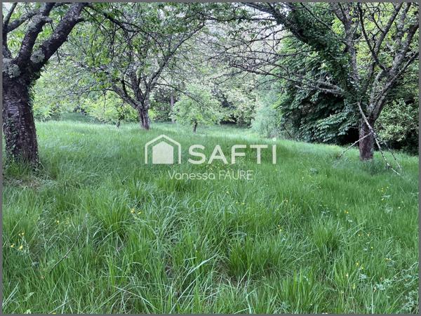 « Rare sur le secteur : 2700m2 de sérénité absolue, entre arbres et verger fruitier »