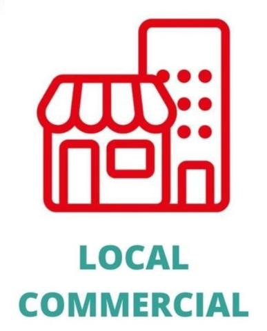 Pont-l'Abbé (29120) LOCAL RARE RUE N°1