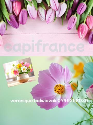 Fonds de commerce à vendre SAINT AMAND LES EAUX (59)