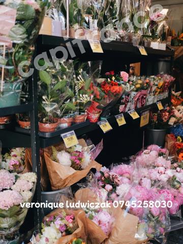 Fonds de commerce à vendre SAINT AMAND LES EAUX (59)