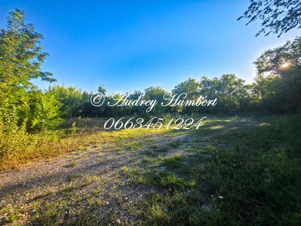 EXCLUSIVITE, PIERREVERT, ensemble immobilier composé d'un ENTREPOT + TERRAIN CONSTRUCTIBLE de 4000 m²