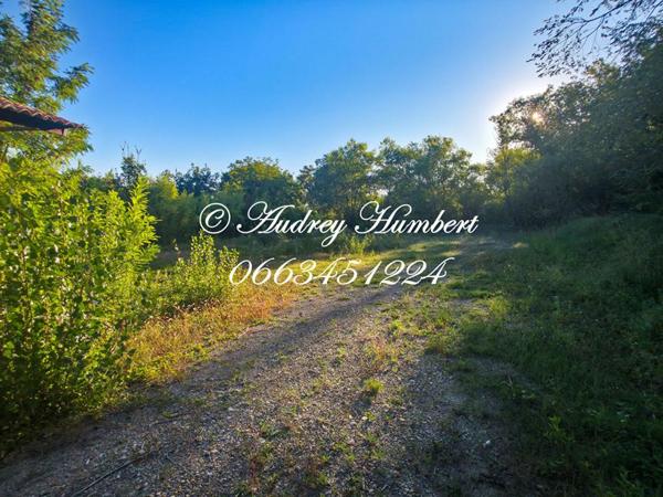 EXCLUSIVITE, PIERREVERT, ensemble immobilier composé d'un ENTREPOT + TERRAIN CONSTRUCTIBLE de 4000 m²