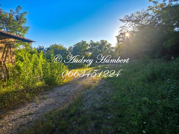 EXCLUSIVITE, PIERREVERT, ensemble immobilier composé d'un ENTREPOT + TERRAIN CONSTRUCTIBLE de 4000 m²